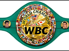 https://image.noelshack.com/fichiers/2020/06/5/1581104636-wbc-belt-600x440.jpg