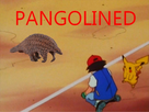 https://image.noelshack.com/minis/2020/06/6/1581202430-01.png