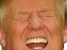 https://image.noelshack.com/fichiers/2020/07/6/1581790403-trump-aaaya.png