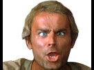 https://image.noelshack.com/fichiers/2020/07/6/1581796013-terrencehill6.png