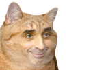 https://image.noelshack.com/fichiers/2020/08/2/1582057557-144049-full.png
