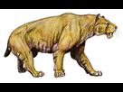 https://image.noelshack.com/fichiers/2020/08/3/1582149694-smilodon-pop2-15.jpg