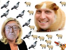 https://image.noelshack.com/fichiers/2020/08/4/1582200566-telechargement-2019-11-30t182213-588.jpg