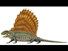 https://image.noelshack.com/fichiers/2020/08/5/1582304787-dimetrodon-grandis.jpg