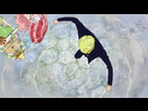 https://image.noelshack.com/fichiers/2020/08/5/1582318580-sanji-entkommt-mit-skywalk.jpg