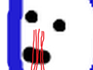 https://image.noelshack.com/fichiers/2020/09/2/1582669407-image.png