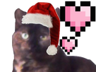 https://image.noelshack.com/fichiers/2020/09/3/1582677337-chatbugcoeur.png