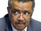 https://image.noelshack.com/fichiers/2020/09/4/1582817137-tedros-5.png