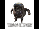 https://image.noelshack.com/fichiers/2020/09/7/1583085734-this-is-the-way.jpg
