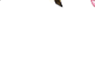 https://image.noelshack.com/fichiers/2020/10/1/1583152961-37-8pk9hnc1.png