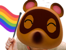 https://image.noelshack.com/fichiers/2020/10/3/1583327614-nookflag.png