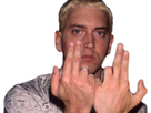 https://image.noelshack.com/fichiers/2020/10/4/1583406526-slim-shady-pazifie-la-zone.png