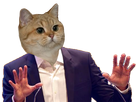 https://image.noelshack.com/fichiers/2020/10/4/1583419234-62176-full.png