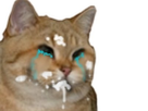 https://image.noelshack.com/fichiers/2020/10/4/1583420136-screenshot-20200229-205542-chrome.jpg