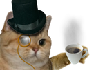 https://image.noelshack.com/fichiers/2020/10/7/1583673560-62485-full.png
