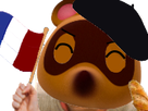 https://image.noelshack.com/fichiers/2020/11/2/1583849633-nookflag2.png