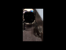 https://image.noelshack.com/fichiers/2020/11/3/1583917016-638ef719-f60e-4ece-a452-a1e361c90486.jpeg