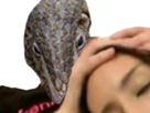https://image.noelshack.com/minis/2020/11/4/1584048145-pangolinop.png