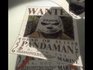 https://image.noelshack.com/fichiers/2020/11/5/1584113271-pandaman-wanted.jpg