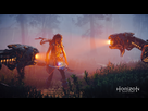 https://image.noelshack.com/fichiers/2020/11/5/1584127273-horizon-zero-dawn-tm-complete-edition-20200313165258-resultat.jpg