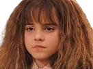 https://image.noelshack.com/fichiers/2020/12/1/1584358561-1572389263-hermione-la-blase-devant-les-50-mp-discord-qu-elle-a-au-reveil-1.png