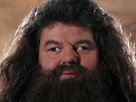 https://image.noelshack.com/fichiers/2020/12/2/1584406117-1560087383-hagrid.jpg