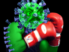 https://image.noelshack.com/fichiers/2020/12/3/1584489004-virus-boxe.png