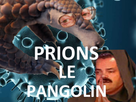 https://image.noelshack.com/fichiers/2020/12/4/1584635590-pangolinprions.png