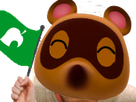 https://image.noelshack.com/fichiers/2020/12/4/1584649623-nookflag5.png