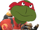 https://image.noelshack.com/minis/2020/12/5/1584743531-tortue-pyro.png