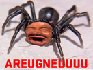 https://image.noelshack.com/fichiers/2020/12/7/1584905661-155546-full.png