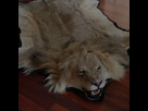 https://image.noelshack.com/fichiers/2020/13/1/1584980591-tapis.jpg