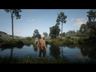 https://image.noelshack.com/fichiers/2020/13/2/1585072488-red-dead-redemption-2-20200322171439.jpg