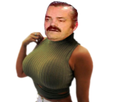 https://image.noelshack.com/fichiers/2020/13/3/1585169498-1494085934-risitas-seins.png