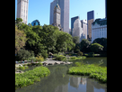 https://image.noelshack.com/fichiers/2020/14/3/1585751184-nyc-central-park-le-poumon-vert-de-manhattan-1-1-1024x1024.jpg