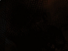 https://image.noelshack.com/fichiers/2020/14/7/1586113794-59-okslil54.png