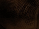 https://image.noelshack.com/fichiers/2020/14/7/1586113794-60-okslil54.png