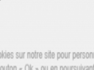 https://image.noelshack.com/fichiers/2020/15/5/1586482975-4-5eekf5op.png