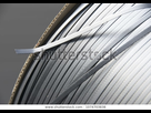 https://image.noelshack.com/fichiers/2020/15/5/1586544031-packaging-straps-plastic-strapping-bands-600w-1074703838.jpg