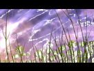 https://image.noelshack.com/fichiers/2020/15/7/1586652824-thefantastics-code-geass-boukoku-no-akito-04-vostfr-bd-x264-1080p-flac-v2-12.gif