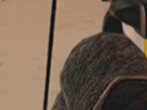 https://image.noelshack.com/fichiers/2020/16/2/1586817699-23-jdwt7yfg.png