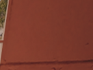 https://image.noelshack.com/fichiers/2020/16/2/1586817699-8-jdwt7yfg.png