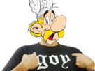 https://image.noelshack.com/fichiers/2020/16/2/1586822245-asterix-goy.png