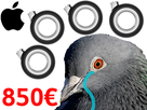 https://image.noelshack.com/fichiers/2020/16/3/1586980938-850-pigeon-apple.png