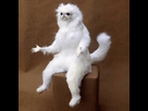 https://image.noelshack.com/fichiers/2020/16/4/1587051000-tenor.png
