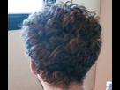 https://image.noelshack.com/fichiers/2020/16/5/1587090710-cheveux.png