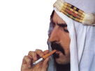 https://image.noelshack.com/fichiers/2020/16/5/1587134625-zappa-sheik-yerbouti-fume.jpg