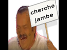 https://image.noelshack.com/fichiers/2020/16/7/1587258355-cherchejambe.png