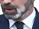 https://image.noelshack.com/fichiers/2020/16/7/1587311902-barbeblanche.png