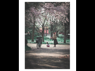 https://image.noelshack.com/fichiers/2020/17/2/1587493117-robink-streetphoto.jpg
